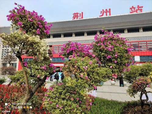 石家庄到荆州物流公司石家庄到荆州物流专线 石家庄到荆州物流公司石家庄到荆州物流专线