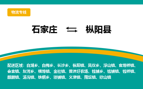 石家庄到枞阳县物流专线省市县+乡镇-闪+送专业运送|优质物流 石家庄到枞阳县物流专线省市县+乡镇-闪+送专业运送|优质物流