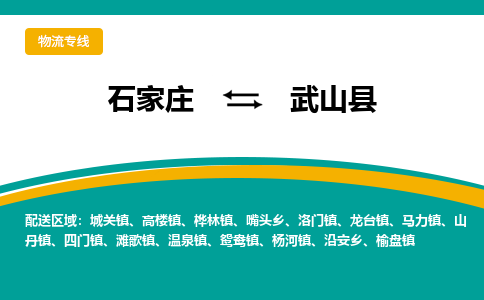 石家庄到武山县物流专线省市县+乡镇-闪+送专业运送|优质物流 石家庄到武山县物流专线省市县+乡镇-闪+送专业运送|优质物流