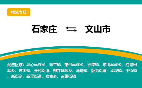 石家庄到文山市物流专线省市县+乡镇-闪+送专业运送|优质物流